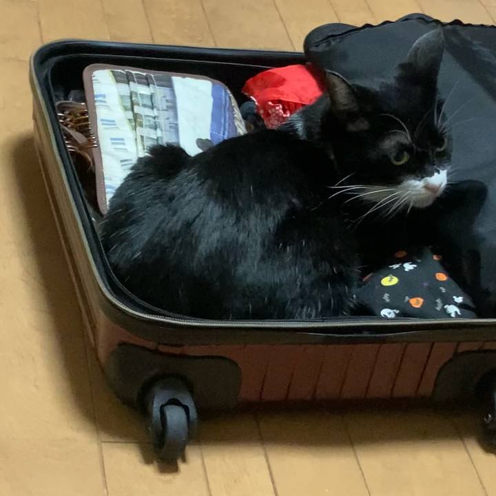 90829a28 6773 4795 a292 d2985241e7c3 1632407356903