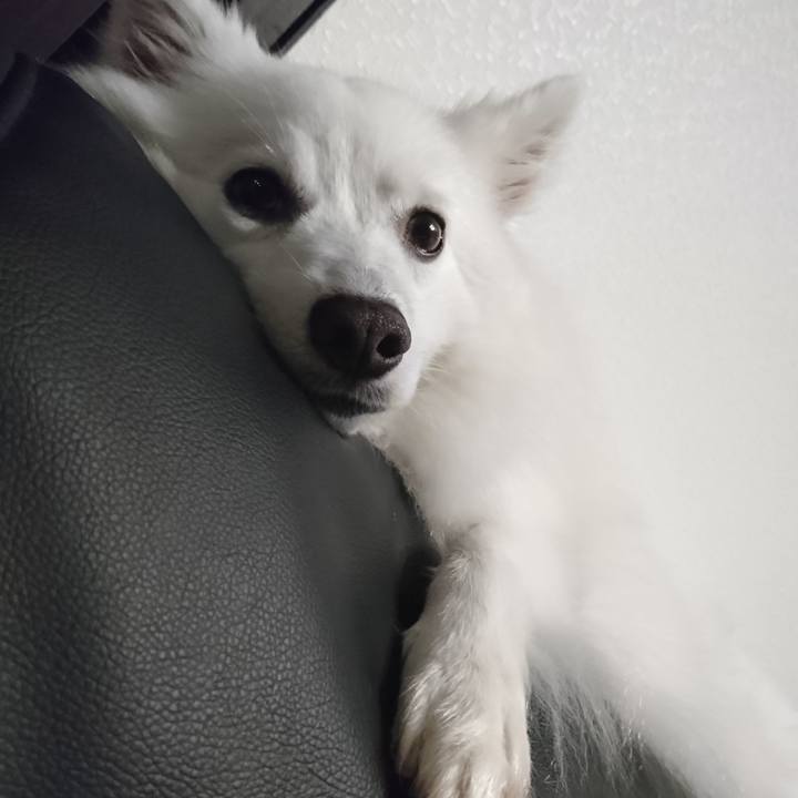 9082b20f 3c9b 4994 8390 282ce227cead 1562241298247