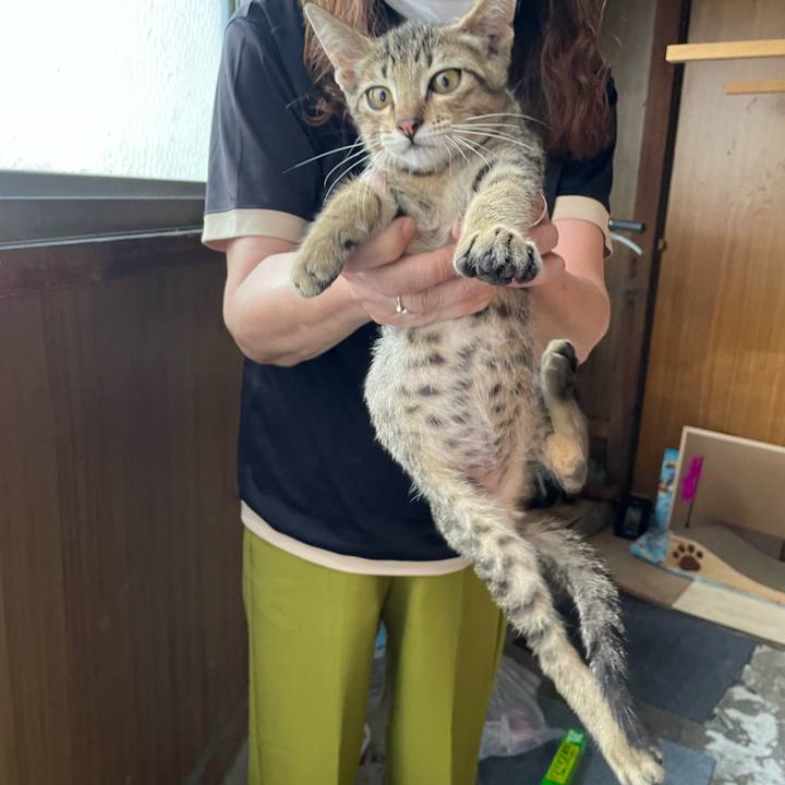 9082c6ae 36f6 4165 903b a57f36d78375 1722467962125