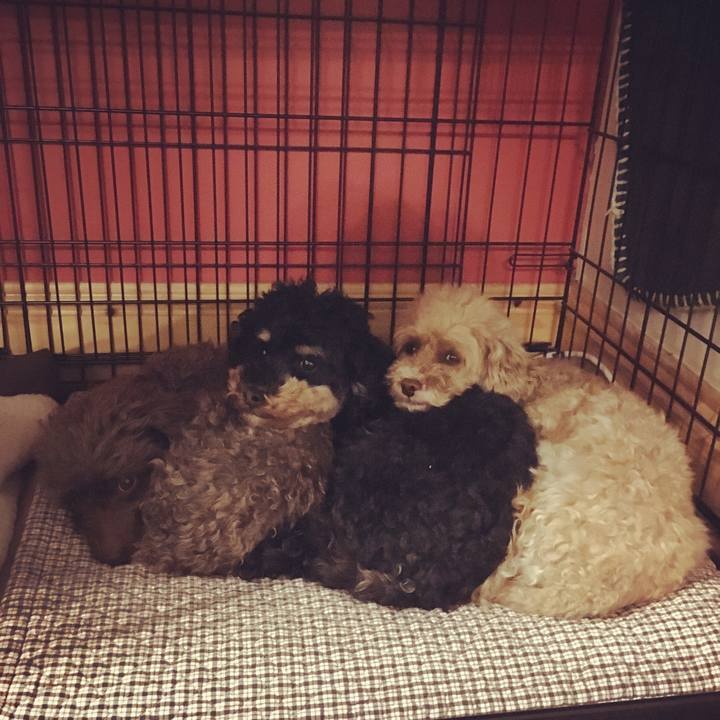 9082d87d 7e6b 49fe a3c6 fc91f5be0010 1560638629915