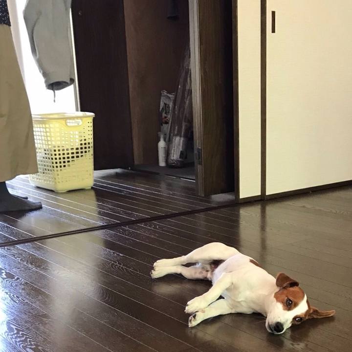 9082e44c 5b93 4fc2 bb8e d3a5973a7b99 1524731721326