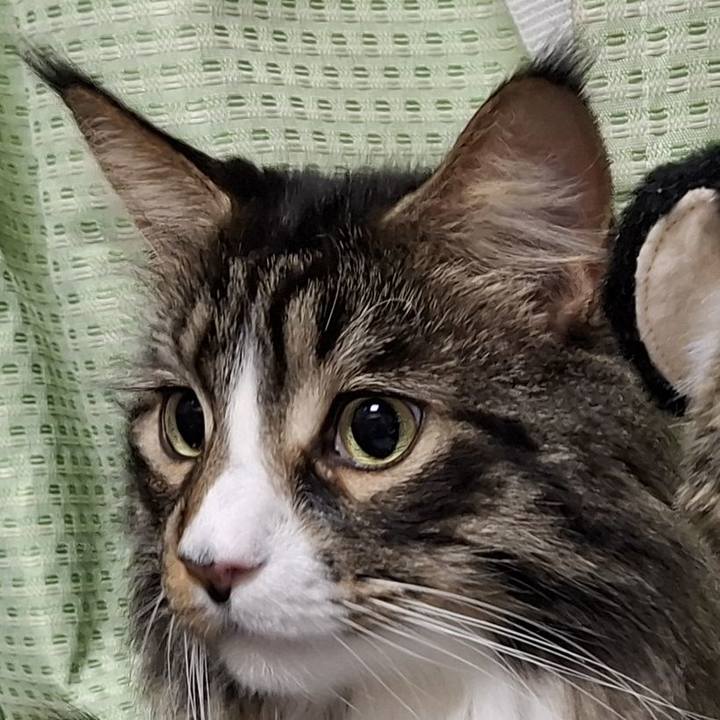 9082e48b 6016 4d07 acfa 8252fc71b2a9 1747928358084