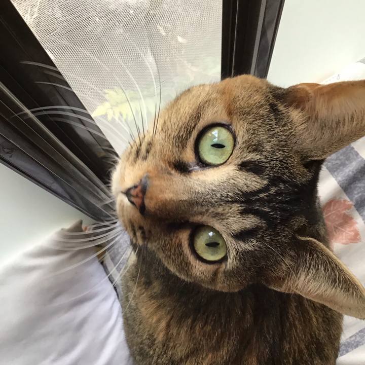 90831cd5 bf35 4280 b136 682a4f26878c 1610166497442