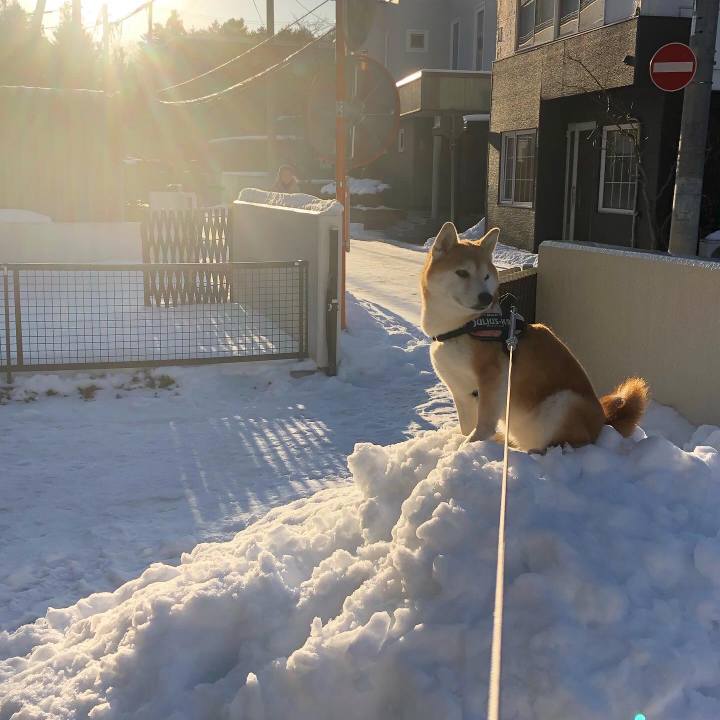 90832df6 d950 4afa 847c 96a5996a926a 1579742594004