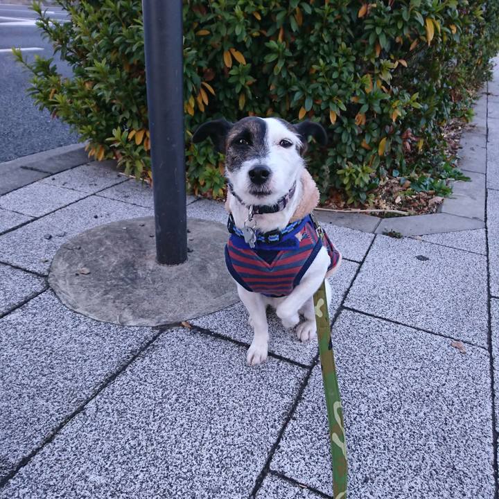 9083327c e01a 4a67 a56d af2518250416 1515535308298