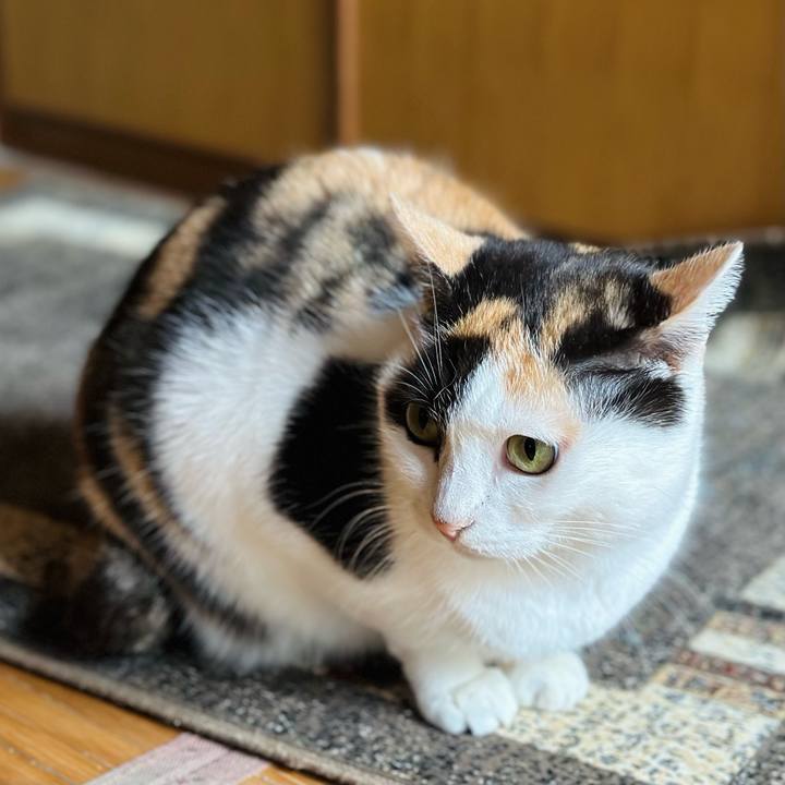 90835f0a d0fd 44b1 85fe e59039c82c44 1670471191286