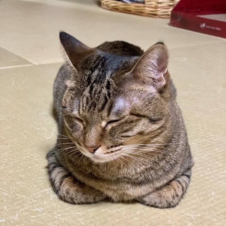 90838068 19ae 4f8d 8819 6041a2ccf50b 1568294065368