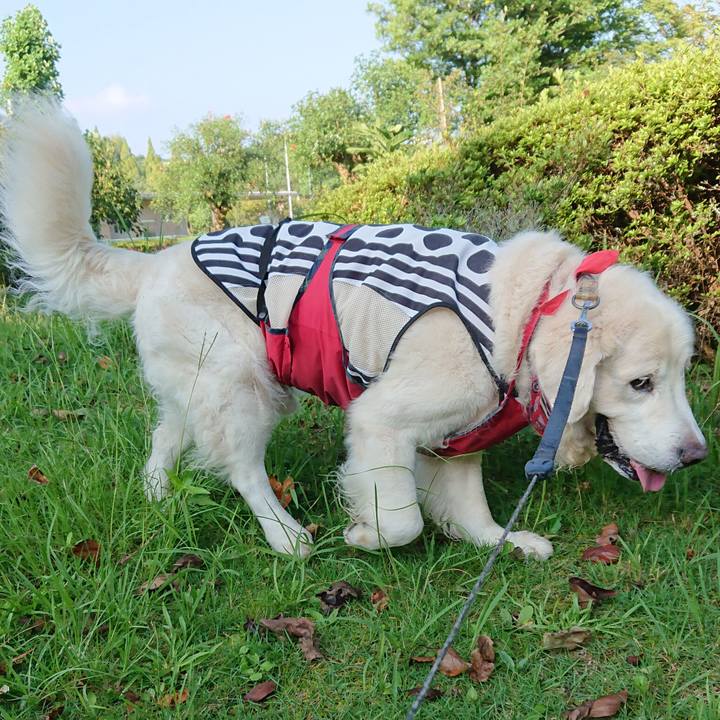 9084128c 20dd 4fb6 a0a9 63170714b522 1568450108162