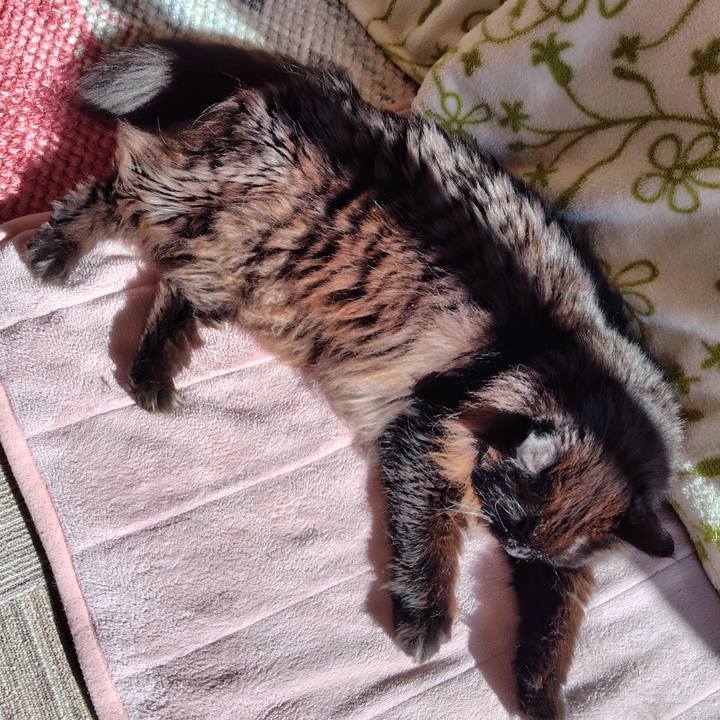 9084d2a3 9e87 4f83 bebe 68ba954d01a8 1736248717709