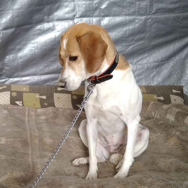 9084e1ee 7f8e 411c a32f 7a9f32bcdc27 1625120036125