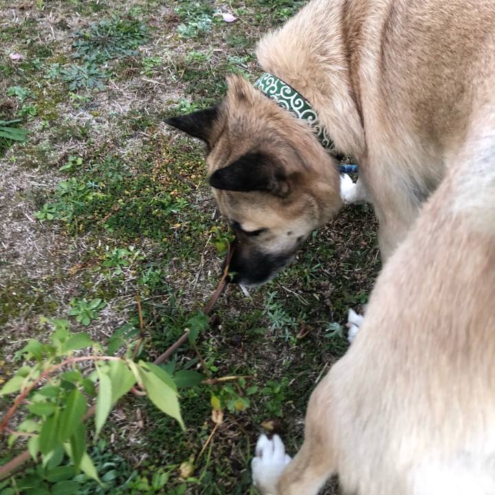 908537ca 3703 4f1e 96dc ee504d6e7eee 1607947325217