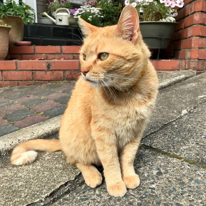 90856ad5 a442 4129 93ef 65b468848725 1524470435989