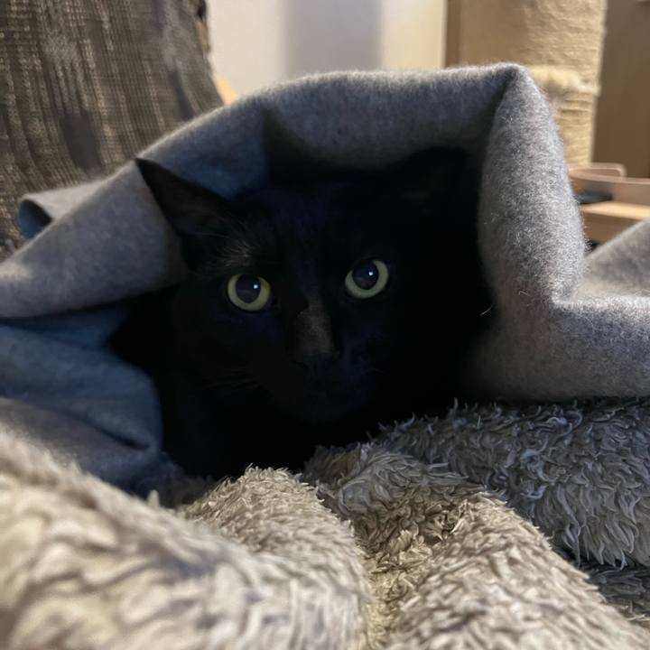 90857e51 6d8a 4cd5 b085 a7369614d06f 1773115719611