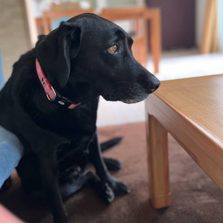 90859681 72ea 4b3e b9cf f69cf244d2fa 1703819836644