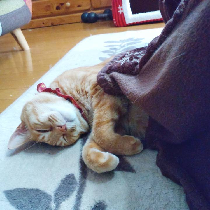 9085985e 3d16 4894 877d 212eae5cdd81 1643591130519