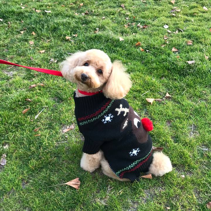 9085c18d 303e 4103 b25b 433dcf2d8e3b 1546826652511