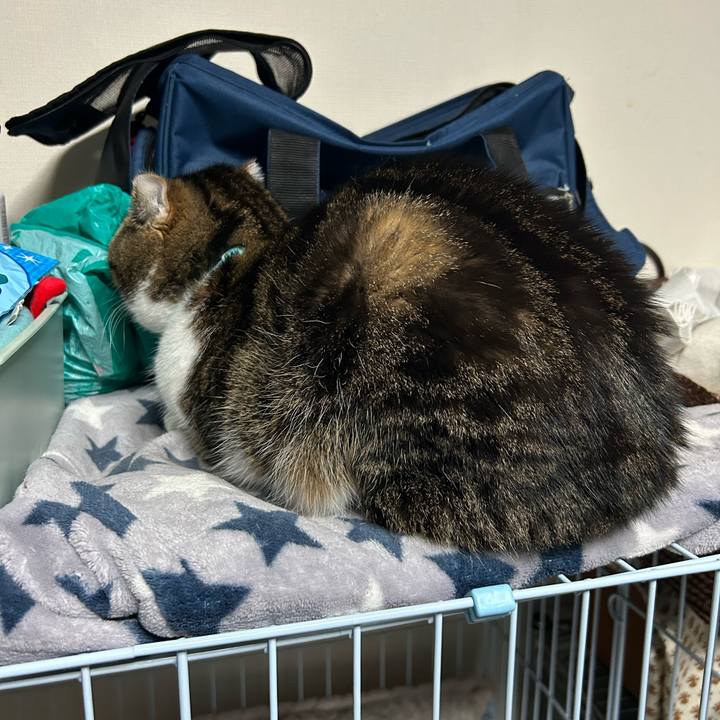 9085c1f2 a487 481c 95f3 302a4093e48d 1761168727959