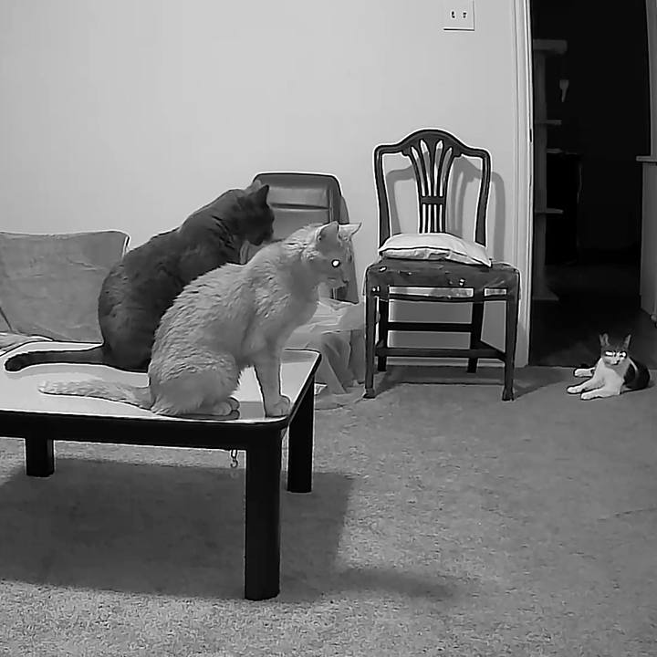 9085c7c9 1a03 43f4 84b7 e01844b5f37a 1743982215913