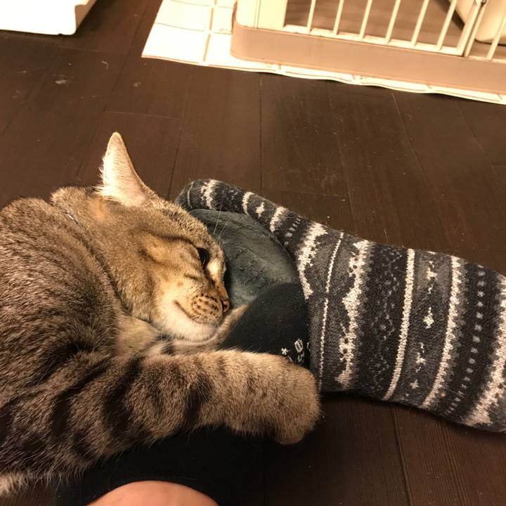 9085e06c be32 4fbe b4b3 03b1e6b147c6 1542030118634