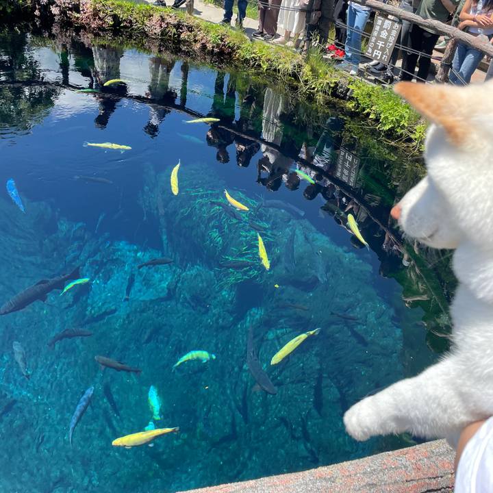 9085ff25 3ef9 445d a553 57bc3a5c2e7d 1686970735637