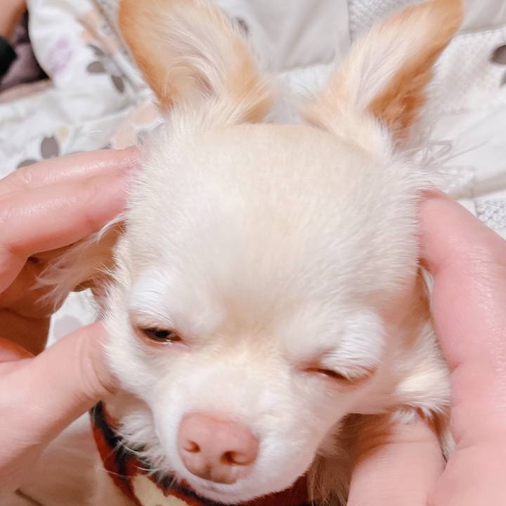 90864b82 00aa 4a54 9ad0 5121f2123cc3 1673170920699