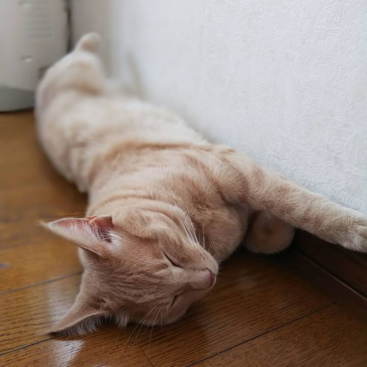 9086774d 6522 4bb8 9641 1c7dfc002bb0 1567299706120