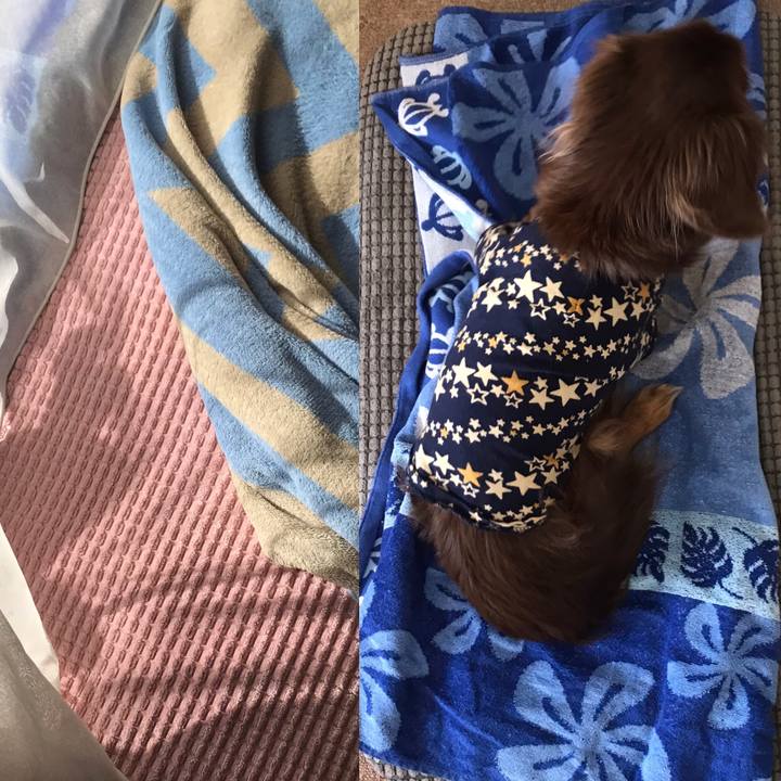 90868513 b7be 45c0 bfc4 a11559ba26d0 1579572864054