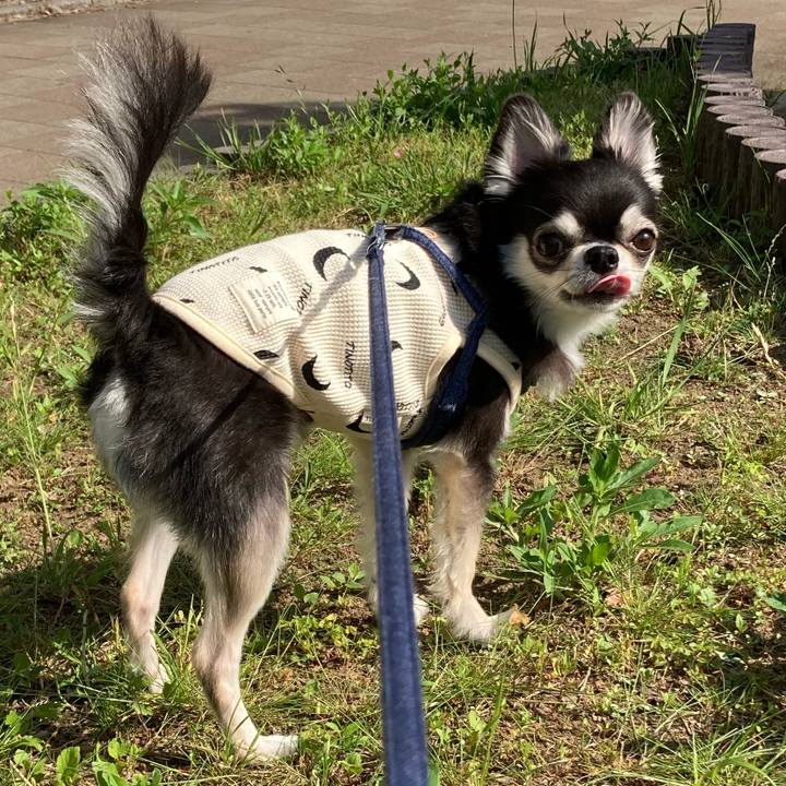 9086b151 911a 4f8d 90a2 31034c0167f9 1683299847121