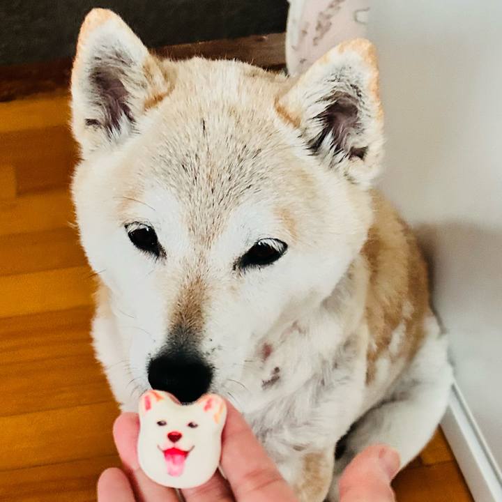 9086d810 ef12 4e70 87ac 88b49377a6f8 1747953948480