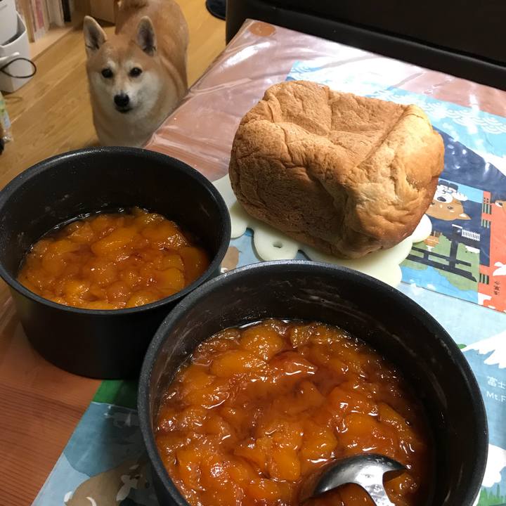 9087044a 8da4 4693 b5e6 f4ec5725e660 1508759700206