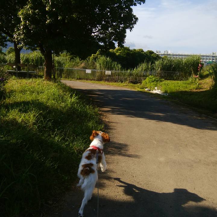 908717db 65a5 4df7 8a49 722dcaba2e34 1529122652258