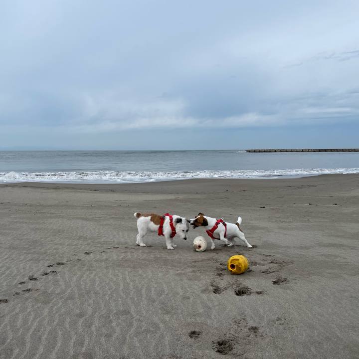 90872de4 de9e 41ee 9293 30ebe857a4ff 1669163310147