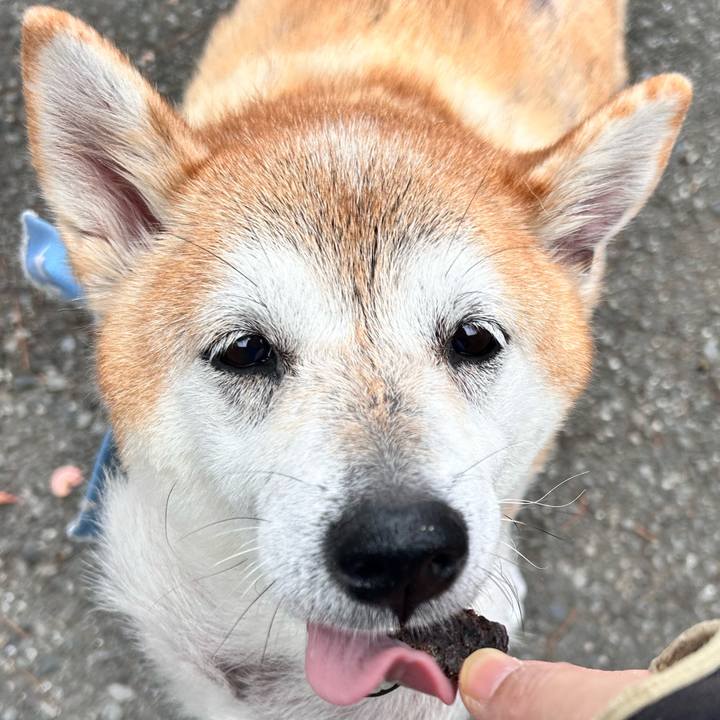 90874278 6d3d 4235 ae55 c9ff6be621b9 1760510981638