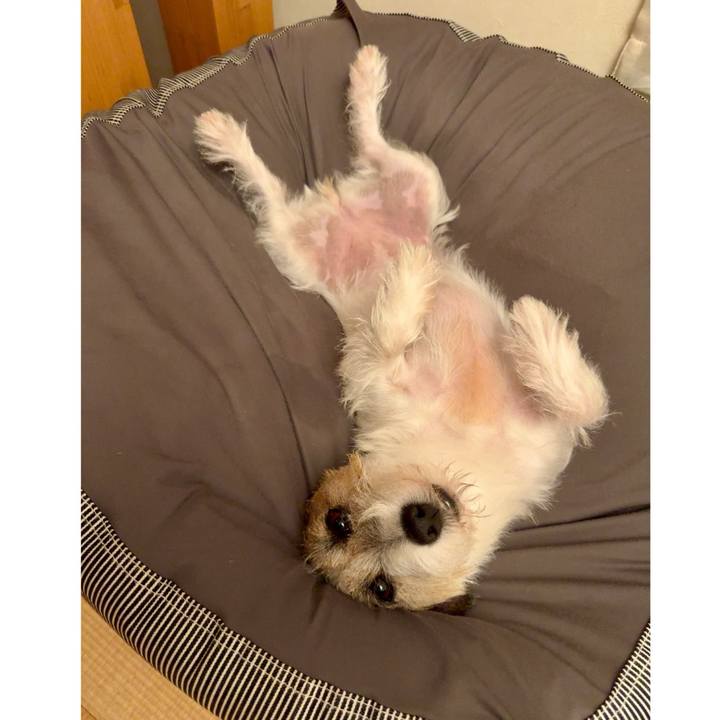 9087775e d6a7 4a1c 8111 854fc03c230e 1726061626792