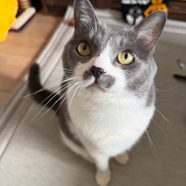 9087c33f 8057 4ac5 9cc1 9de34fd89e57 1767497177904