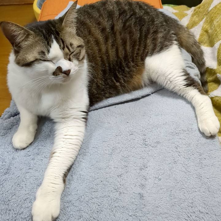 9087c79f 08fa 44fa 8270 4c76a54bfc89 1674017820555