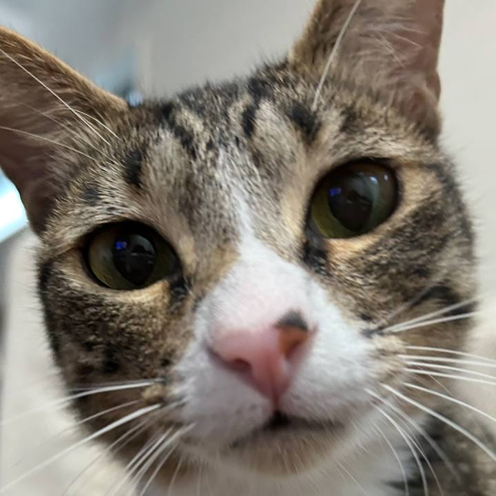 9087cf14 05f9 4831 be77 8eaa95a358e8 1769809525899