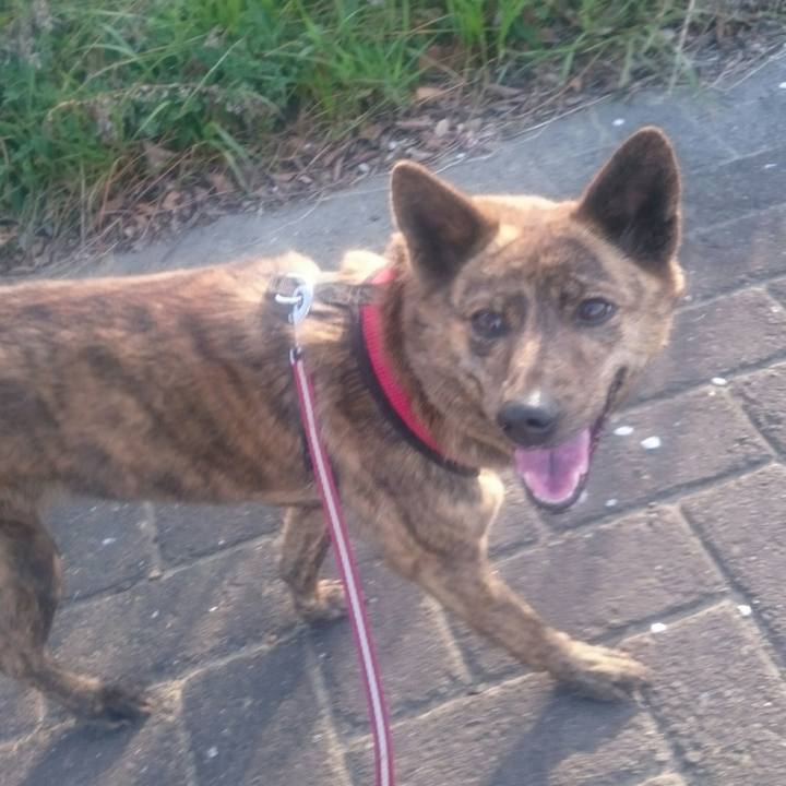 9087d164 89c2 45c9 86e1 9191569ac2d0 1522484347660