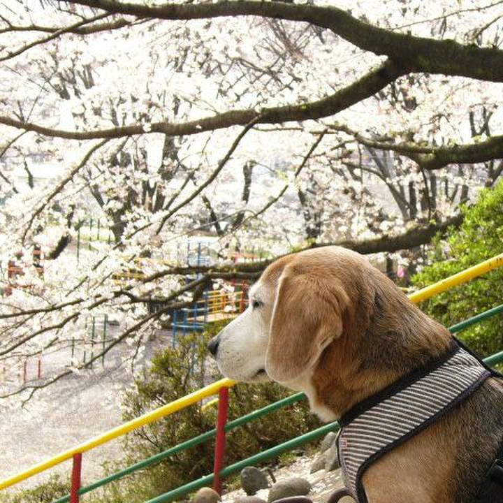 9087d1fd f3cf 46ca bc75 d755244160a9 1662510013317