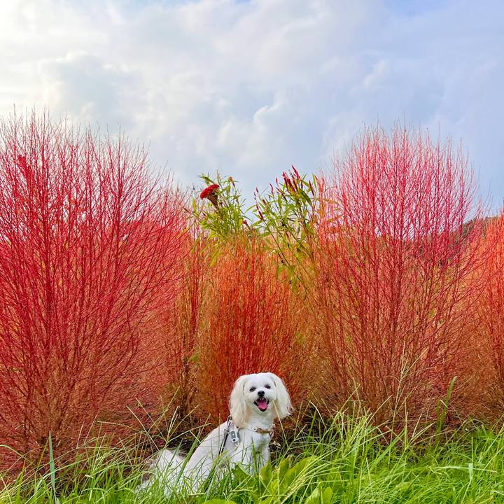 90884886 7326 4f55 b6b5 67c733173473 1694338877858