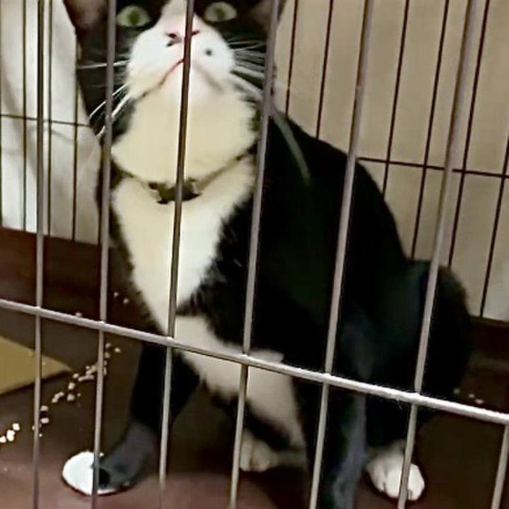 9088876f 78d4 4a75 8828 c1698c83b8a2 1754169745311