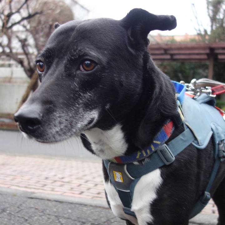 9088930a 74fe 4a14 96d8 5315a4a82e18 1709252881651