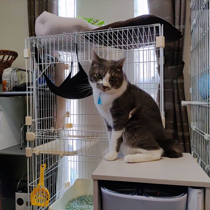 9088b417 9335 4fa8 b077 385d2f0e8d78 1654407758910