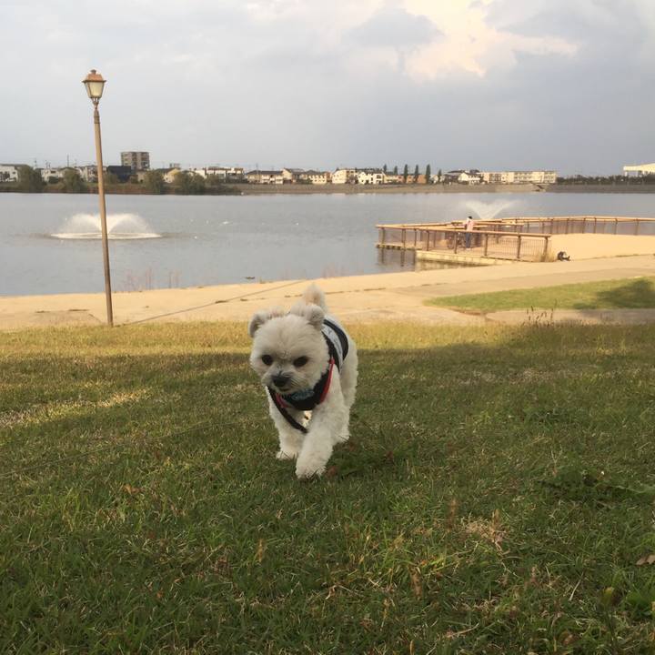 9088bd1e 395e 4bdf 99e1 62744328fb6d 1509784895440