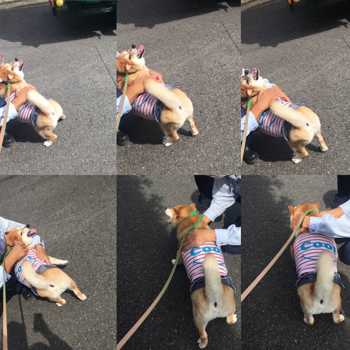 9088d7fa 5b00 43c5 8554 91e3cb4d4757 1601347772269