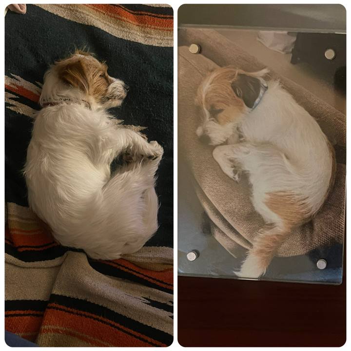 9088d9e5 b4b1 4233 90f0 f512eb21eb11 1767404524069