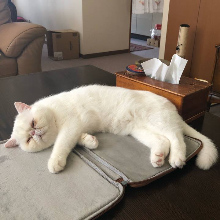 9088e5c6 50af 42c8 93e4 2cc77d67b970 1570254967685