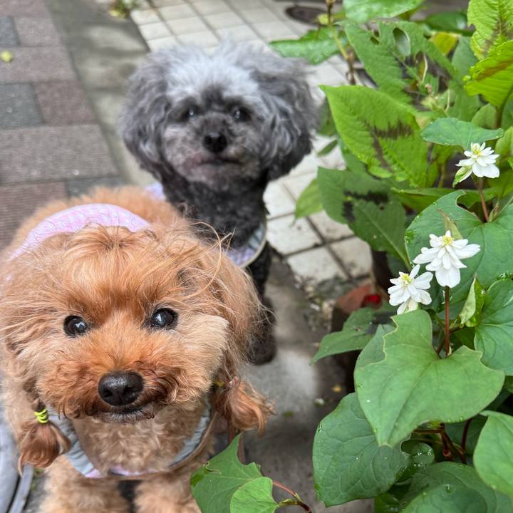 908901f6 4cf8 41e3 a4de 7d635ad87dc4 1749337886272