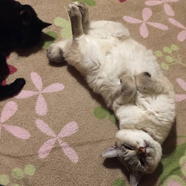 90892963 4e6d 497b 874d 2799a3f3c6a8 1577095719014