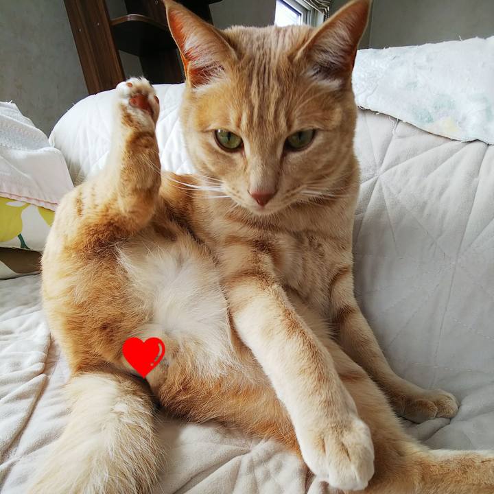 90894548 34ed 442b 9e64 6b3f16cde090 1583553909559